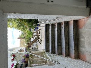 IMG_1451